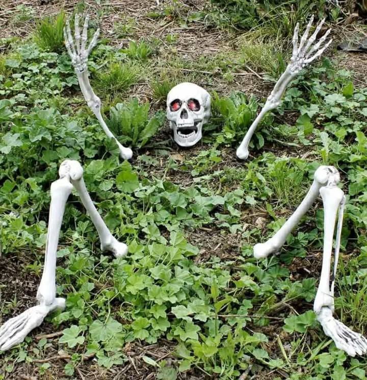 HALLOWEEN DECORATIONS BUNDLE - Image 9